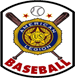 Boys American Legion Baseball National Logo
